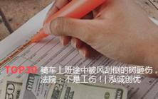 骑车上班途中被风刮倒的树砸伤，法院：不是工伤！| 泓诚创优